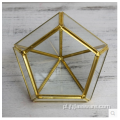 Wazony ze szkła Martini Przezroczyste szklane terrarium geometryczne